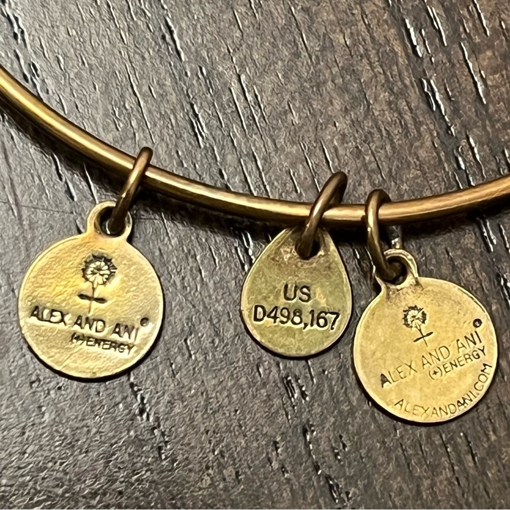 Alex and Ani FSU Charm Bracelet - Picture 4 of 6
